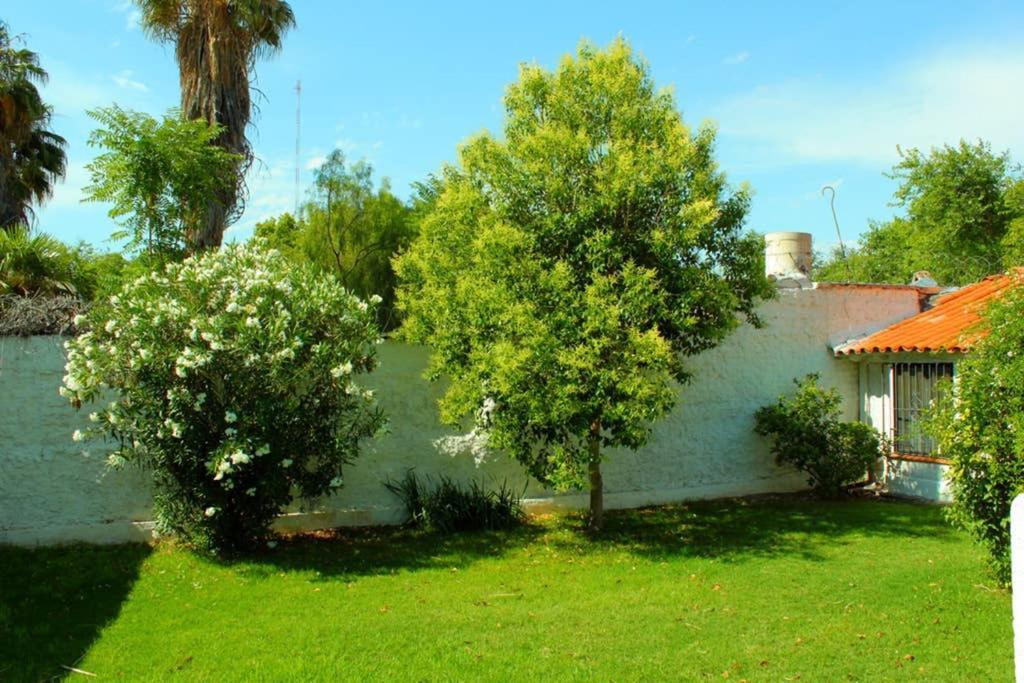הוילה מנדוזה Big Beautiful House With Garden In 5Ta Seccion Neighbourhood מראה חיצוני תמונה